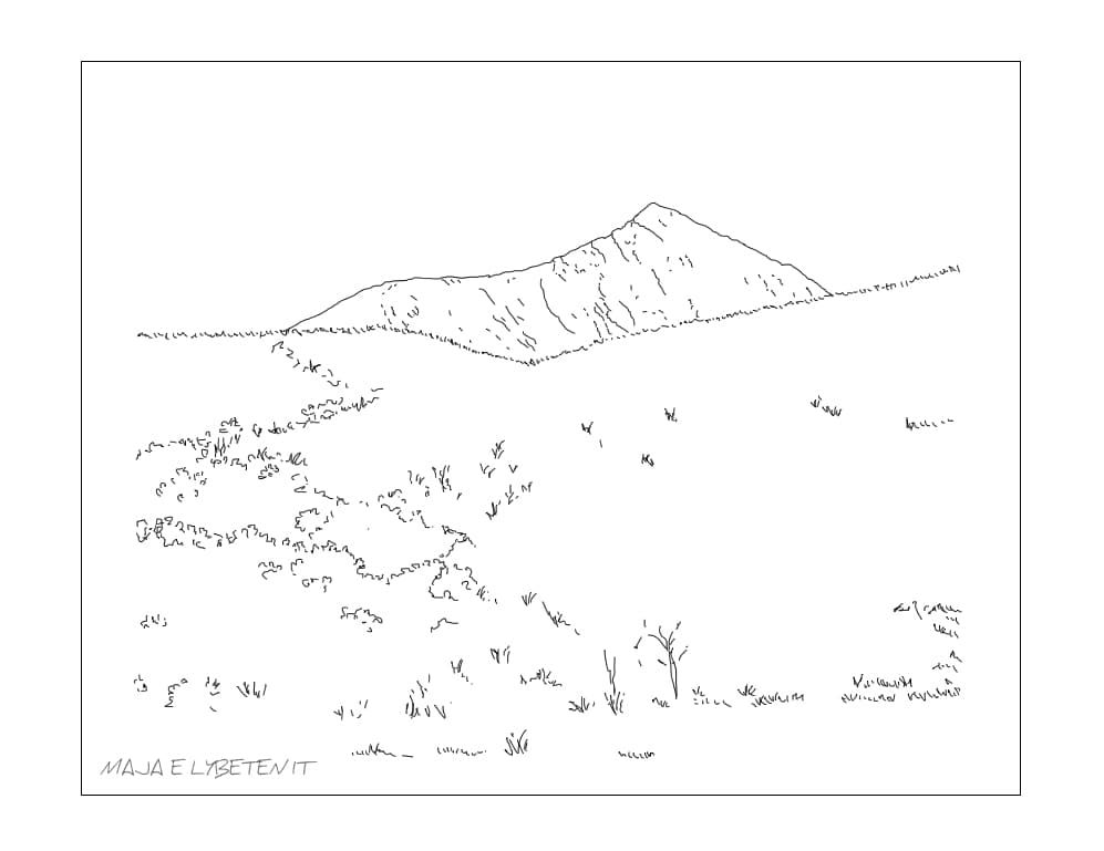 Tracing Heritage-7